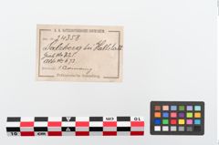 Etiketten zu Bronzeperlarmreif (NHMW-PRAE-024358)